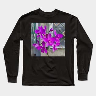 Purple Orchids (Spathoglottis plicata) Long Sleeve T-Shirt